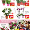 Antevisão Folheto LIDL 26 Abril a 2 maio d34.jpg